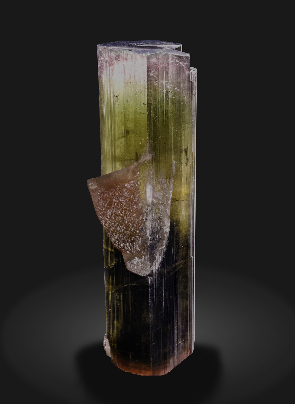 specimens/s_imagesAP7/Elbaite-CCD92AP7_1822_r.jpg