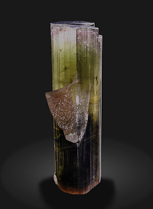 Elbaite. Rear with light behind / Photo: Joaquim Calln