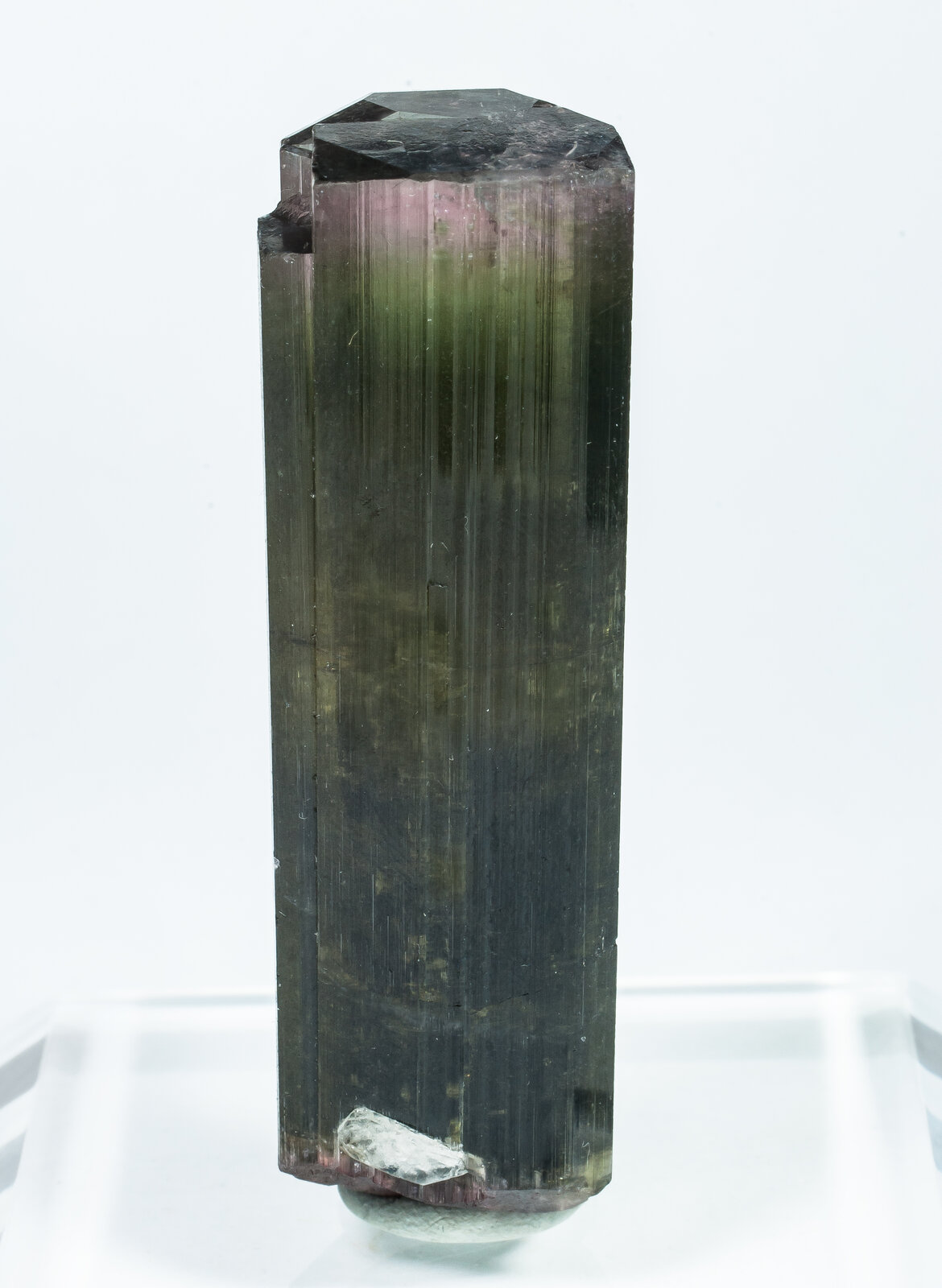 specimens/s_imagesAP7/Elbaite-CCD92AP7f.jpg