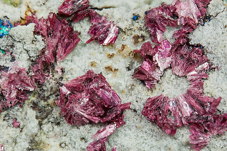 Erythrite. 