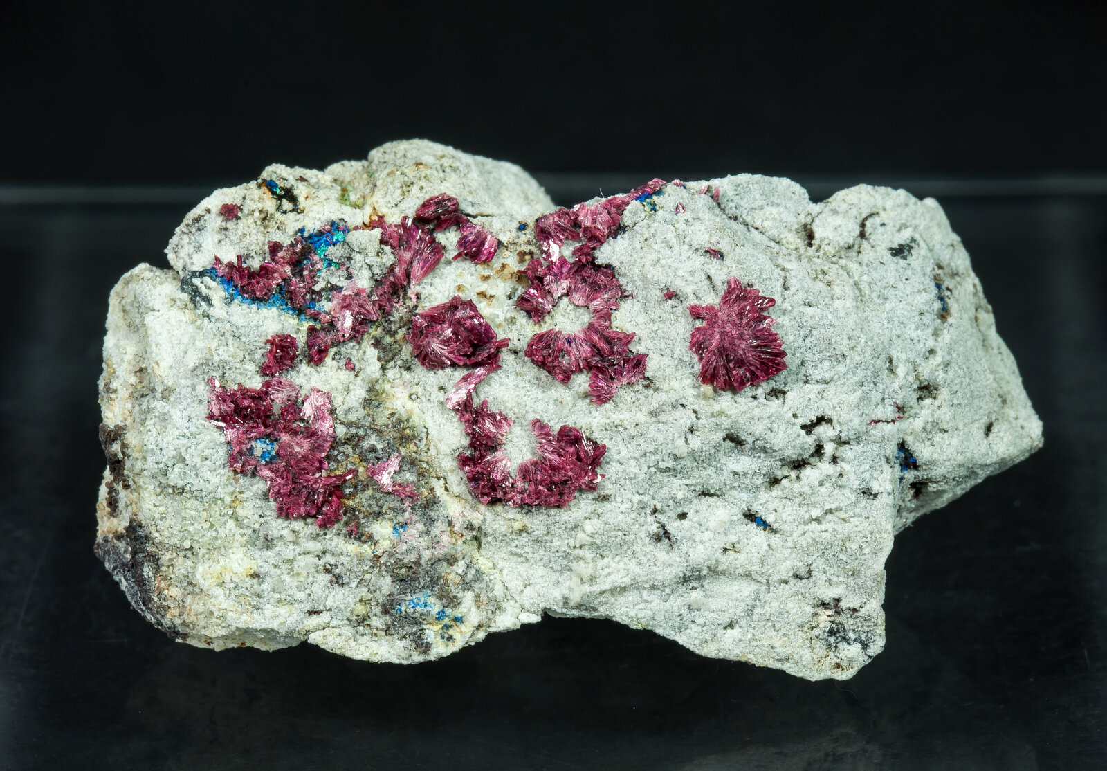 specimens/s_imagesAP7/Erythrite-TJK66AP7f.jpg