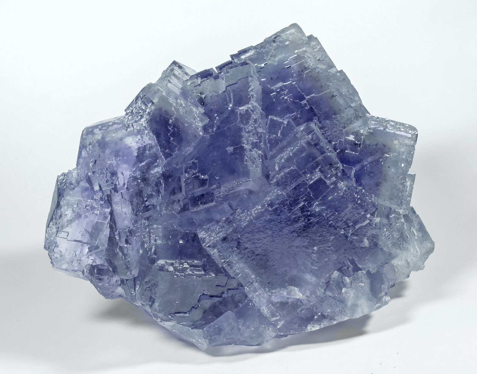 specimens/s_imagesAP7/Fluorite-MTB50AP7f.jpg