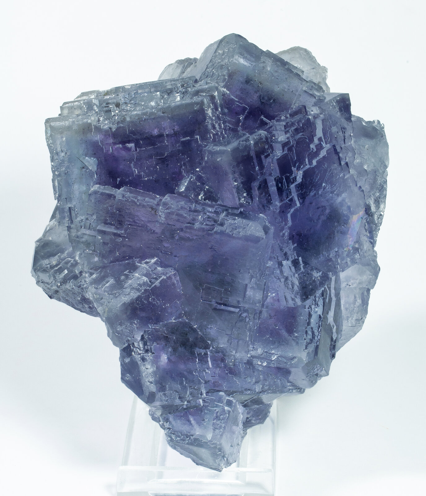 specimens/s_imagesAP7/Fluorite-MTB50AP7s.jpg