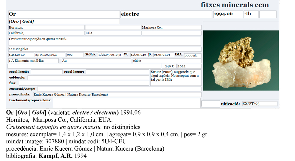 specimens/s_imagesAP7/Gold-CTX14AP7e.jpg