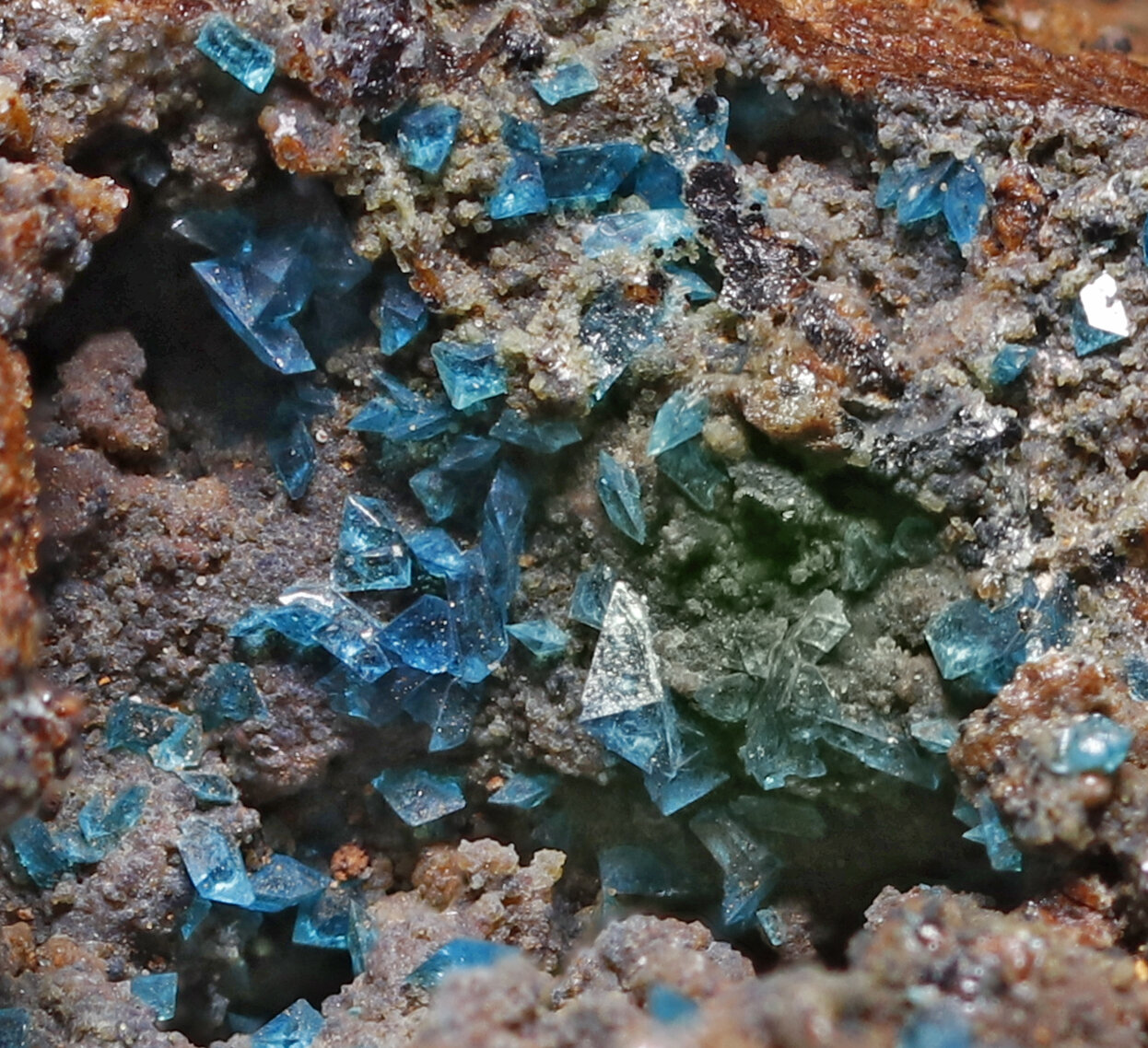 specimens/s_imagesAP7/Liroconite-ERF27AP7_1633_d.jpg