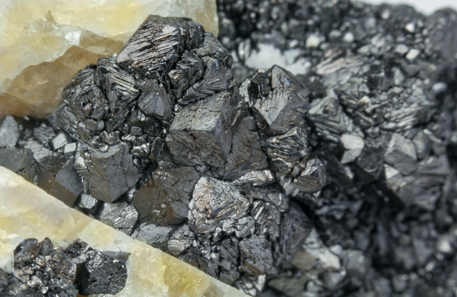 specimens/s_imagesAP7/Magnetite-TXA12AP7d.jpg