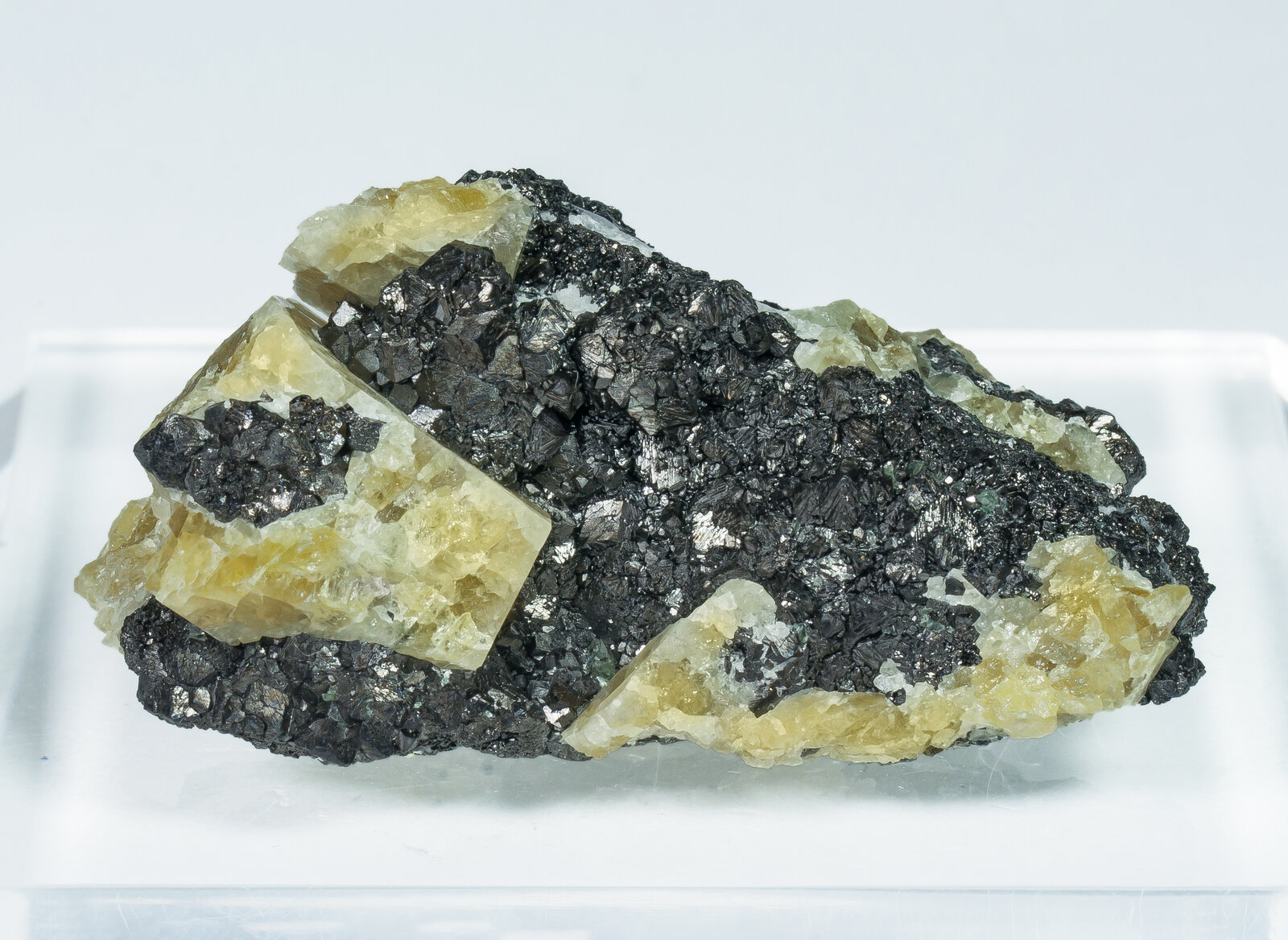 specimens/s_imagesAP7/Magnetite-TXA12AP7f.jpg