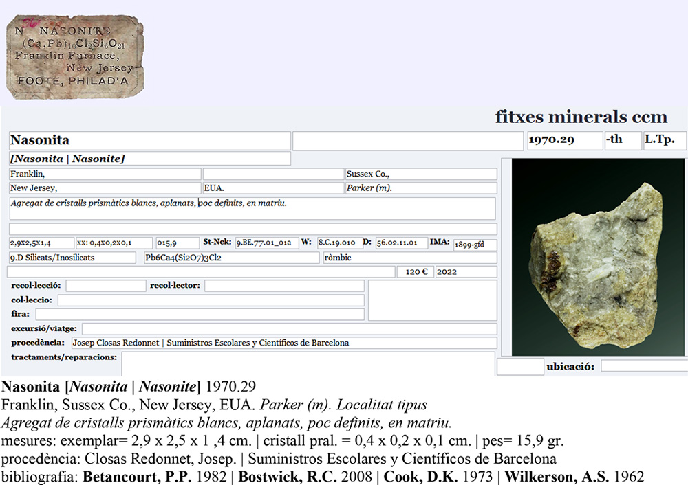 specimens/s_imagesAP7/Nasonite-CBF66AP7e.jpg