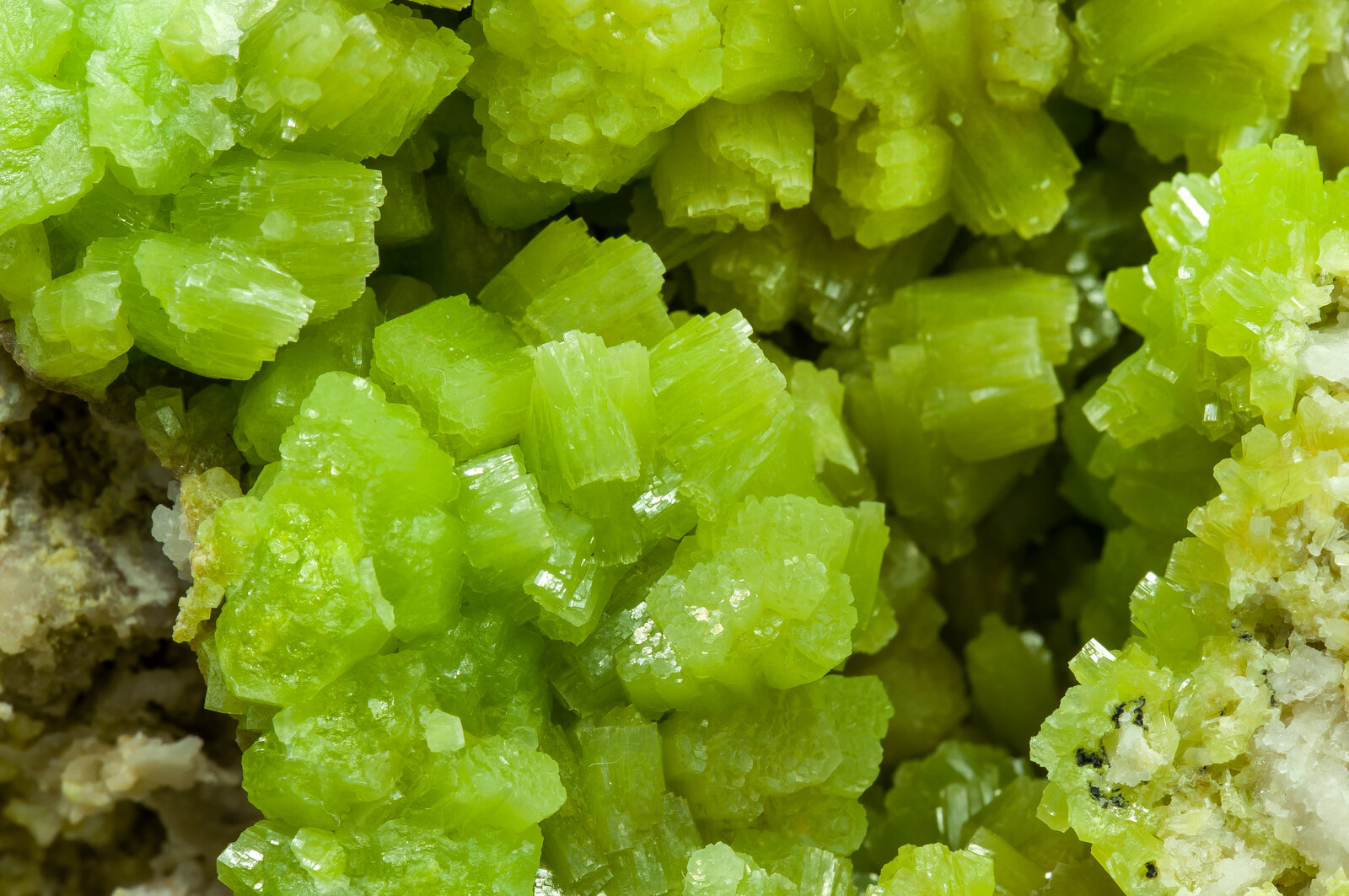 specimens/s_imagesAP7/Pyromorphite-NBC10AP7d.jpg