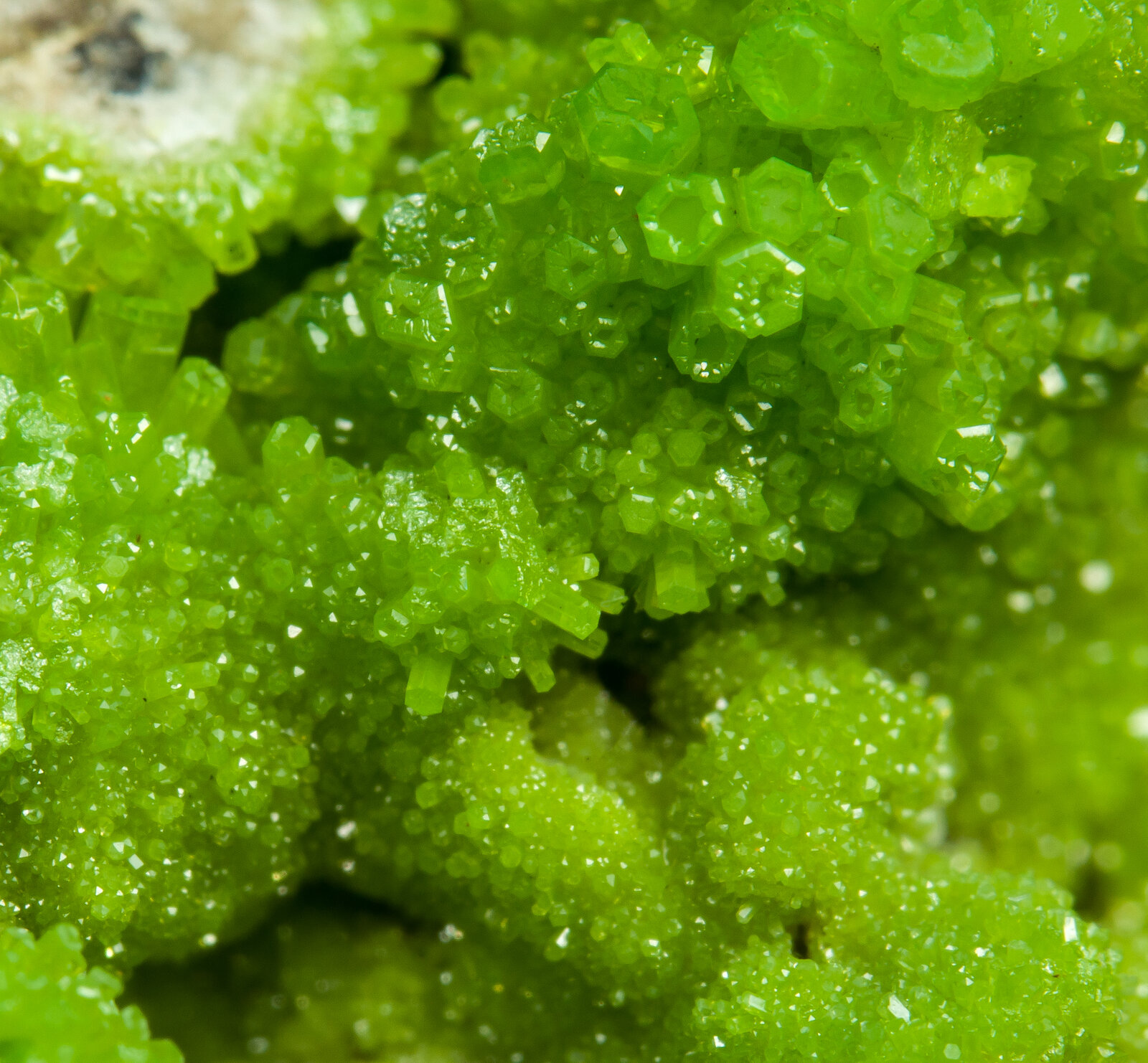 specimens/s_imagesAP7/Pyromorphite-TTB46AP7d.jpg