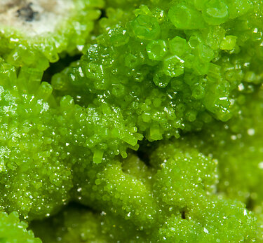 Pyromorphite with Crocoite. 