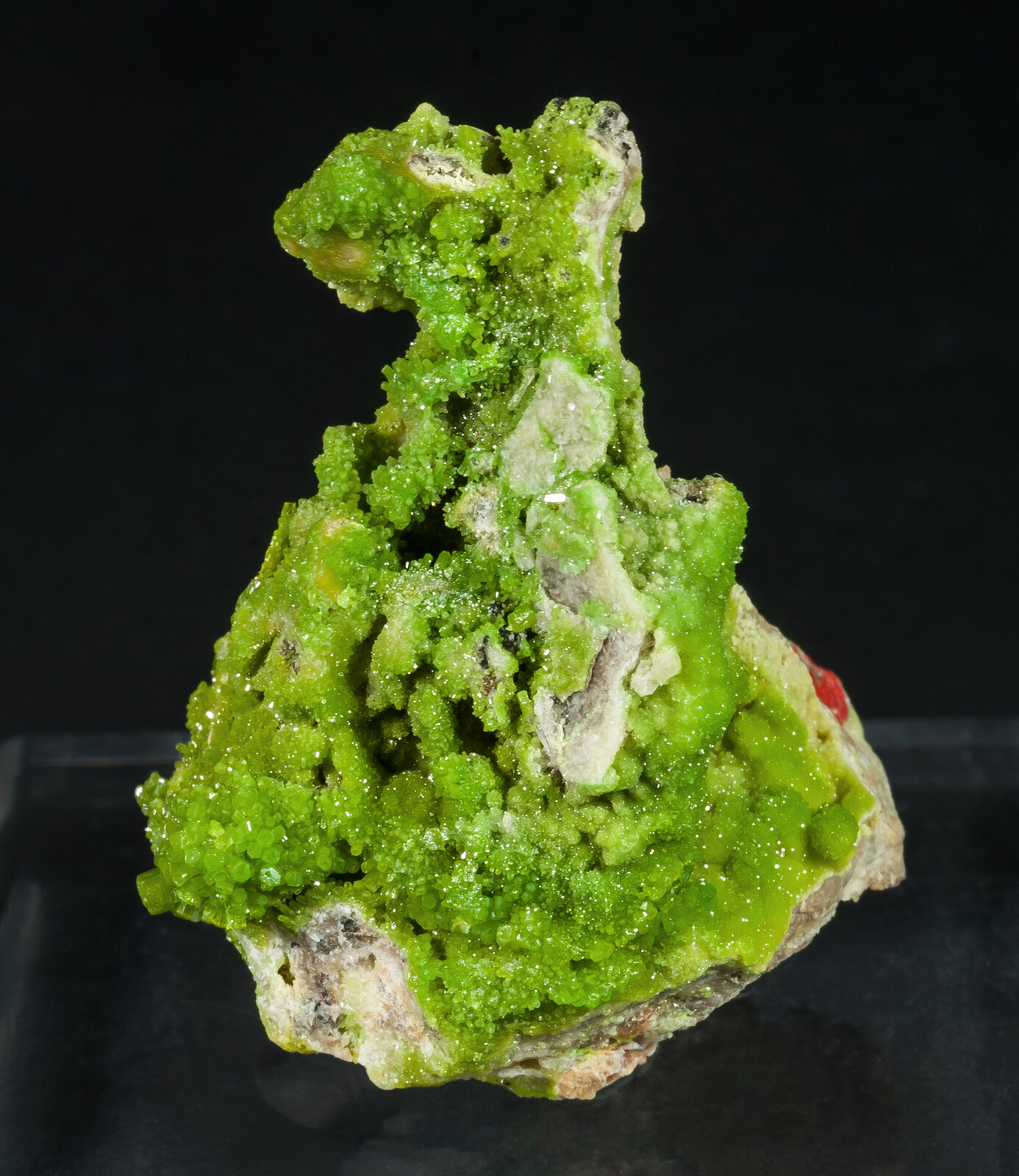 specimens/s_imagesAP7/Pyromorphite-TTB46AP7f.jpg