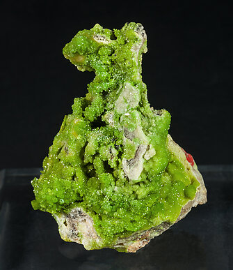 Pyromorphite with Crocoite.