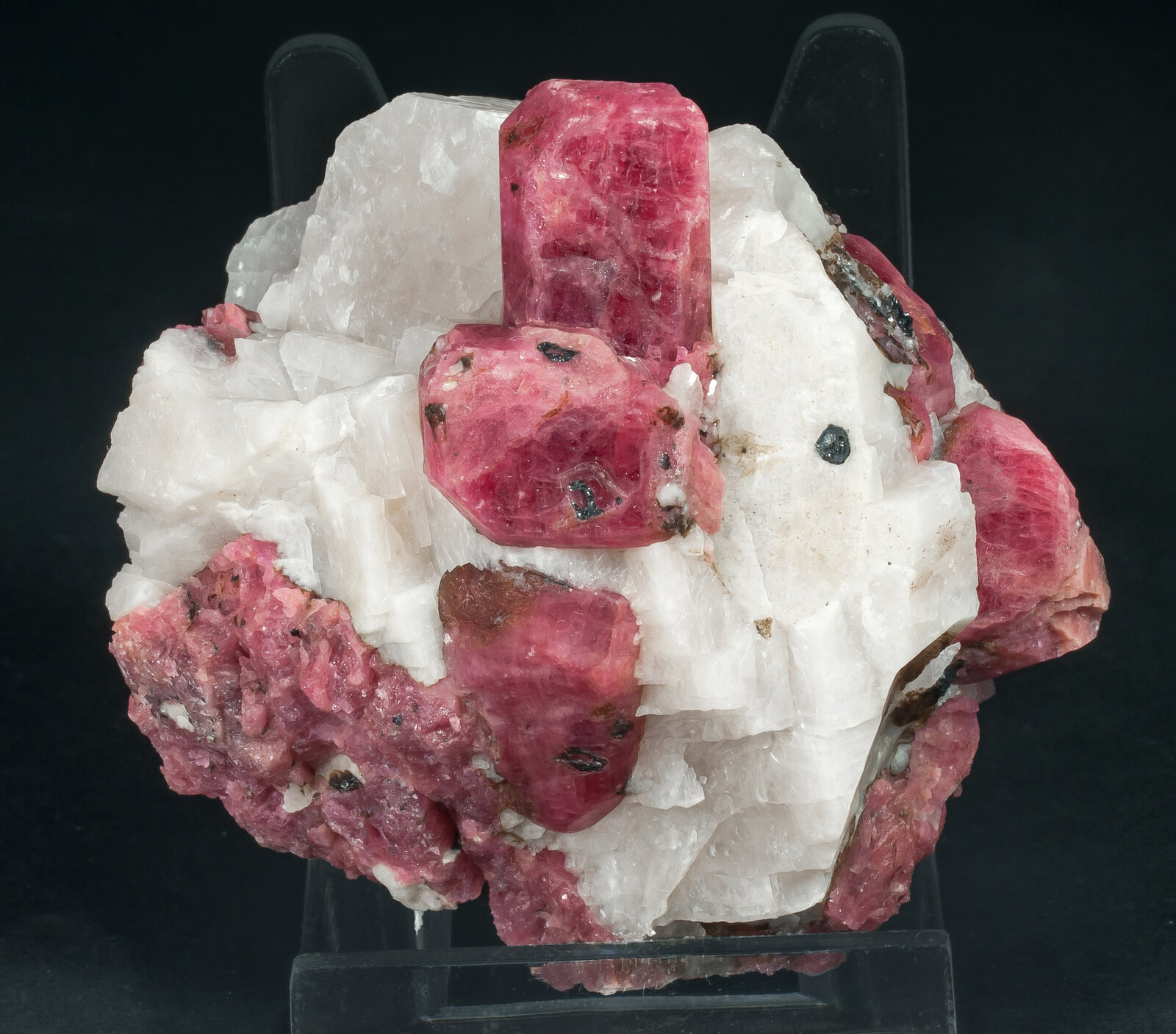 specimens/s_imagesAP7/Rhodonite-TBR93AP7f.jpg