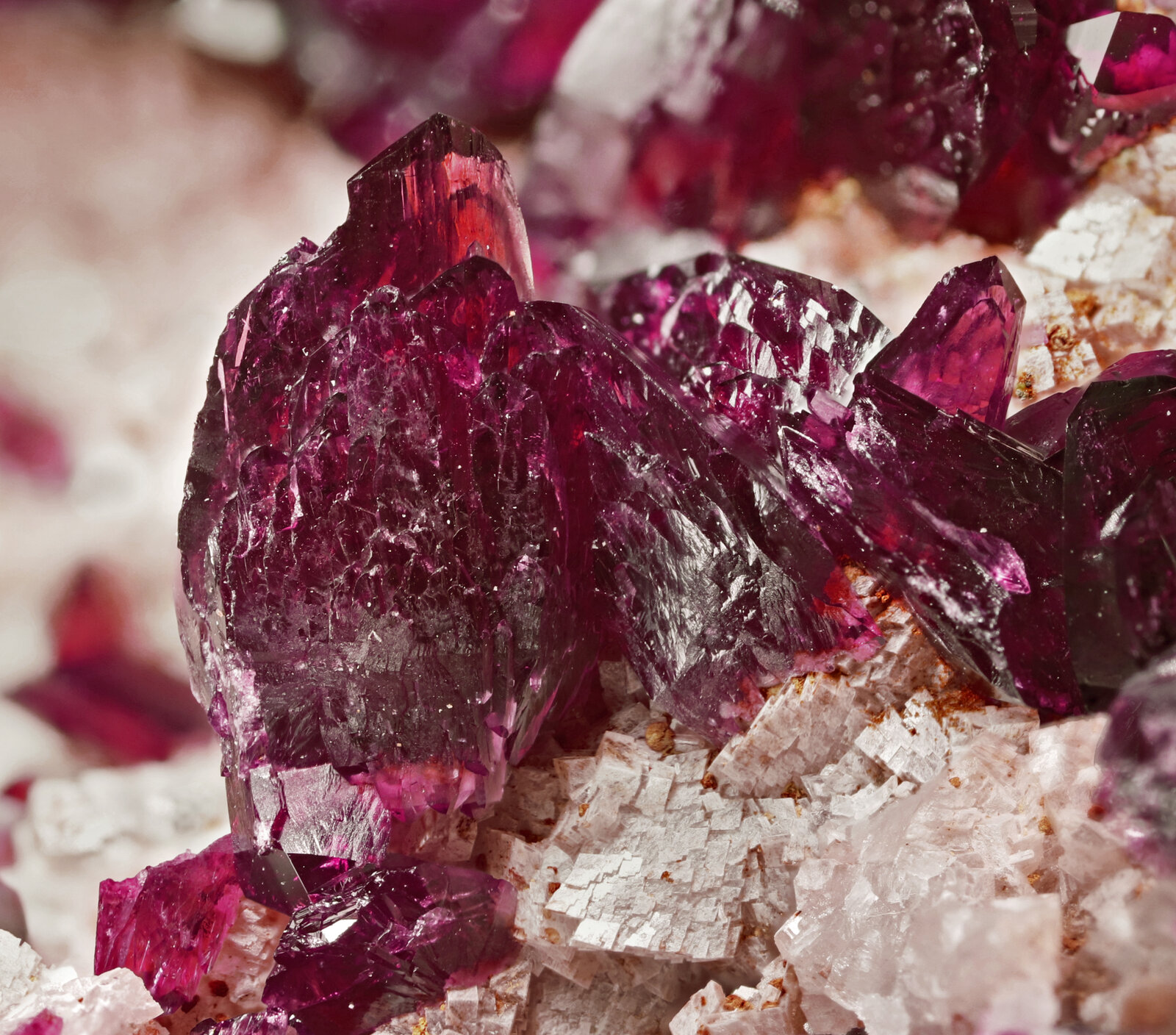 specimens/s_imagesAP7/Roselite-JFD221AP7_1982_d.jpg