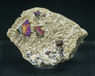 Tennantite-Tetrahedrite (Series) coated by Chalcopyrite and with Siderite and Calcite. 