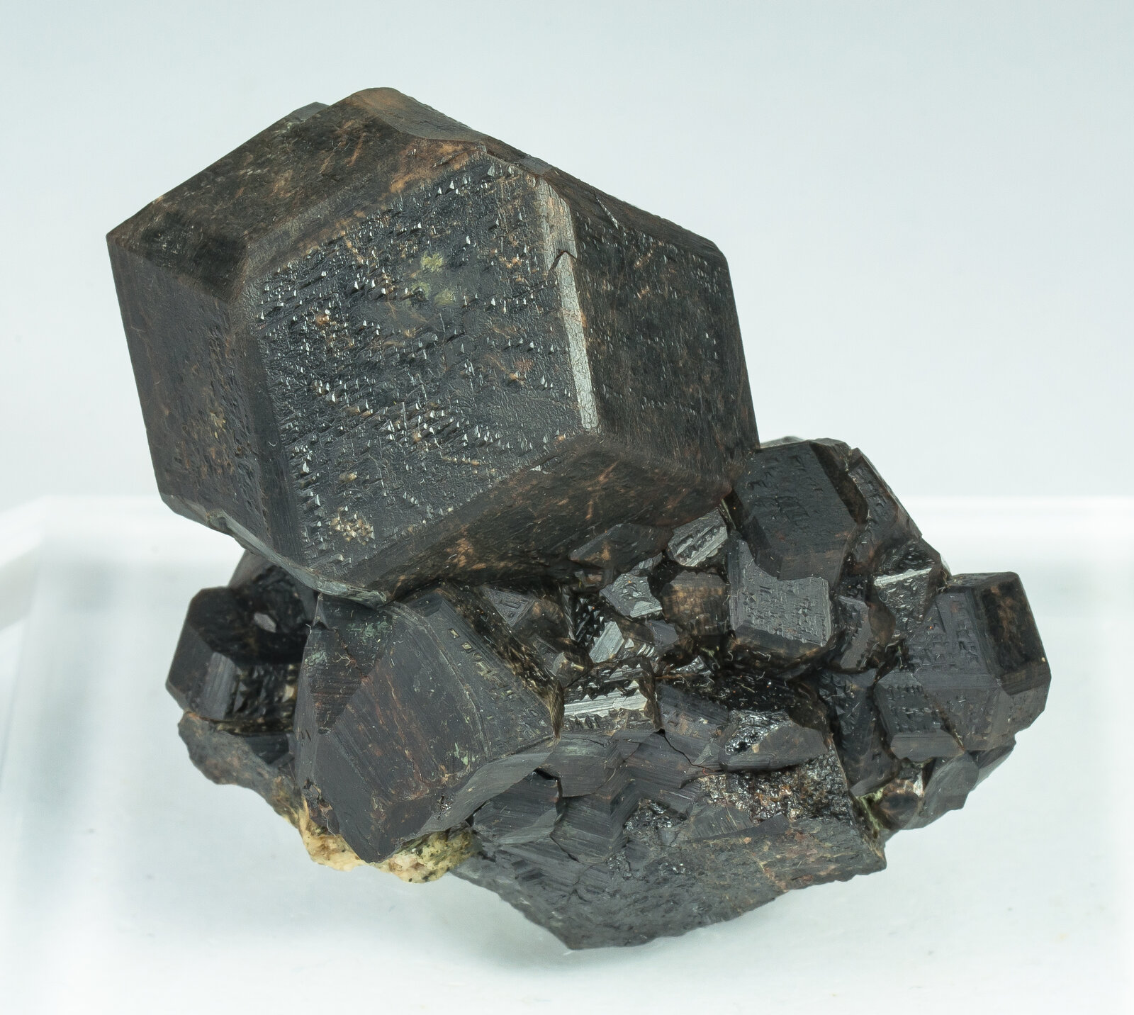 specimens/s_imagesAP8/Andradite-JFD226AP8r.jpg