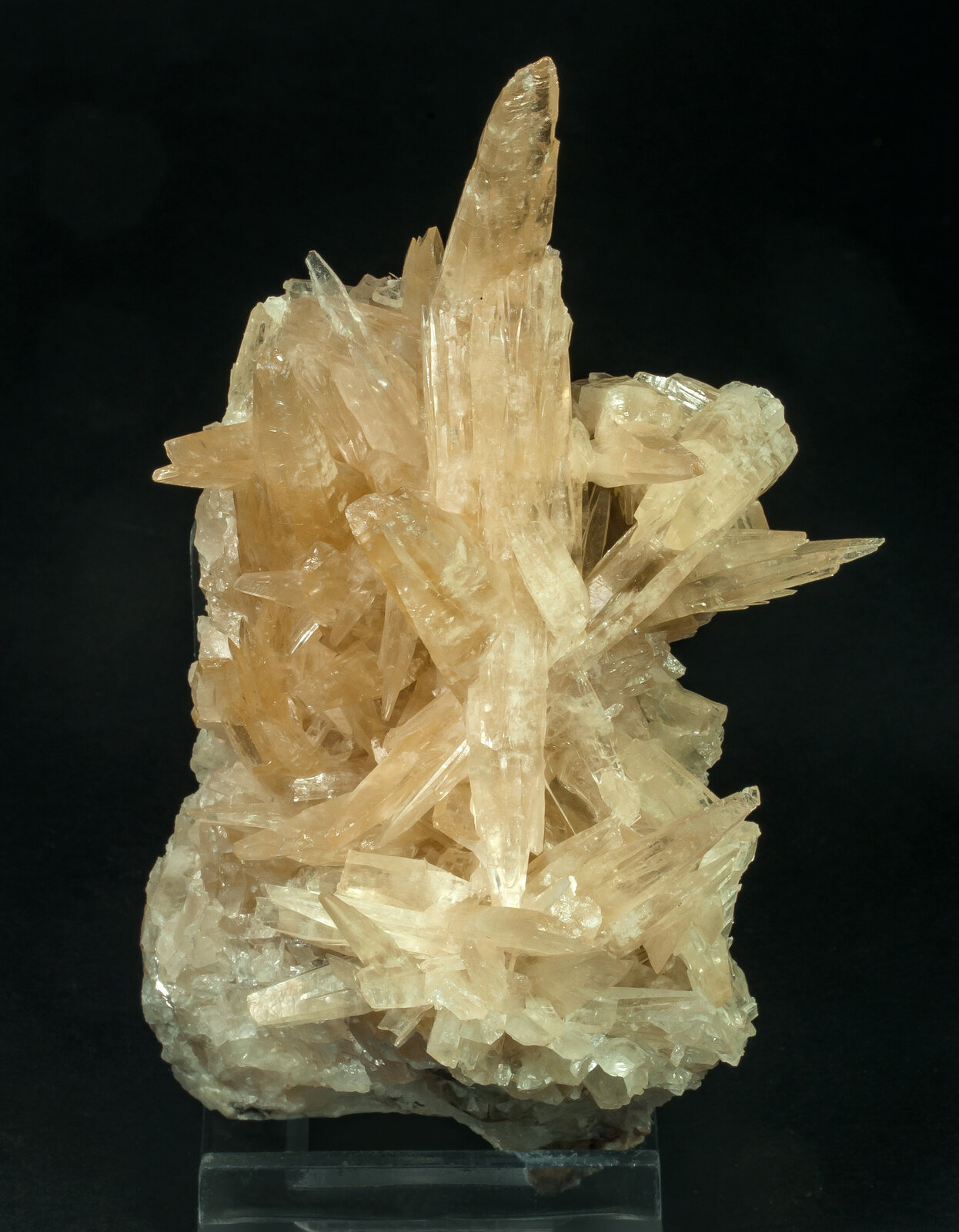 specimens/s_imagesAP8/Aragonite-JLX27AP8f.jpg