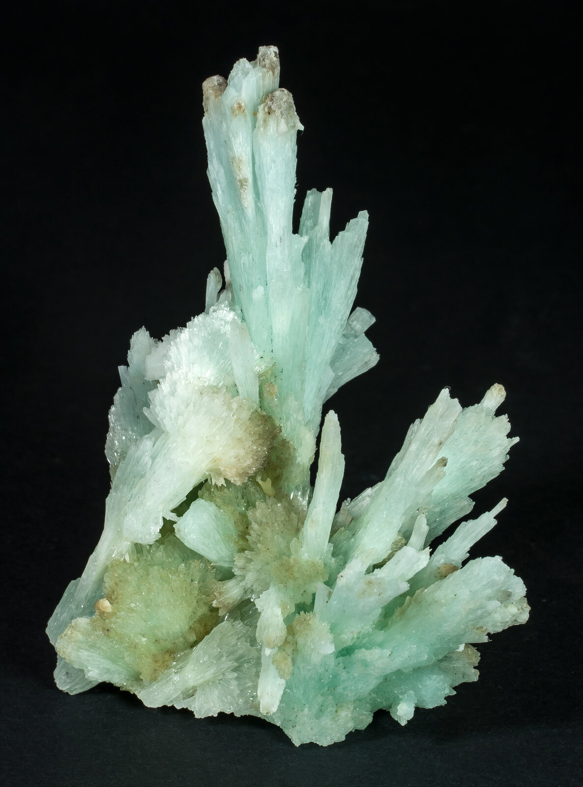 specimens/s_imagesAP8/Aragonite-JPB27AP8f.jpg