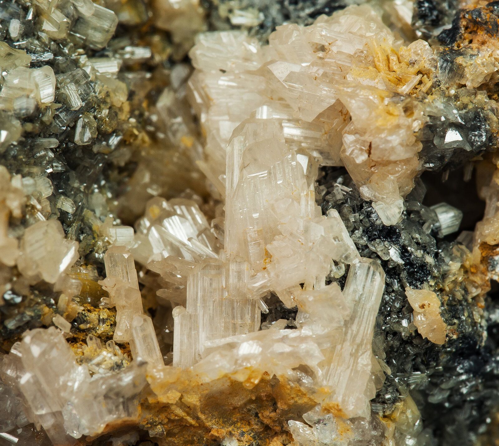 specimens/s_imagesAP8/Cerussite-JMA96AP8d.jpg