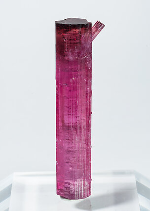 Elbaite (variety rubellite). Front