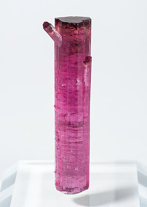 Elbaite (variety rubellite). Rear