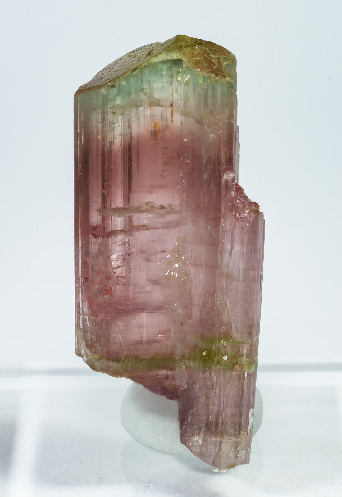 specimens/s_imagesAP8/Elbaite-TZA64AP8r.jpg