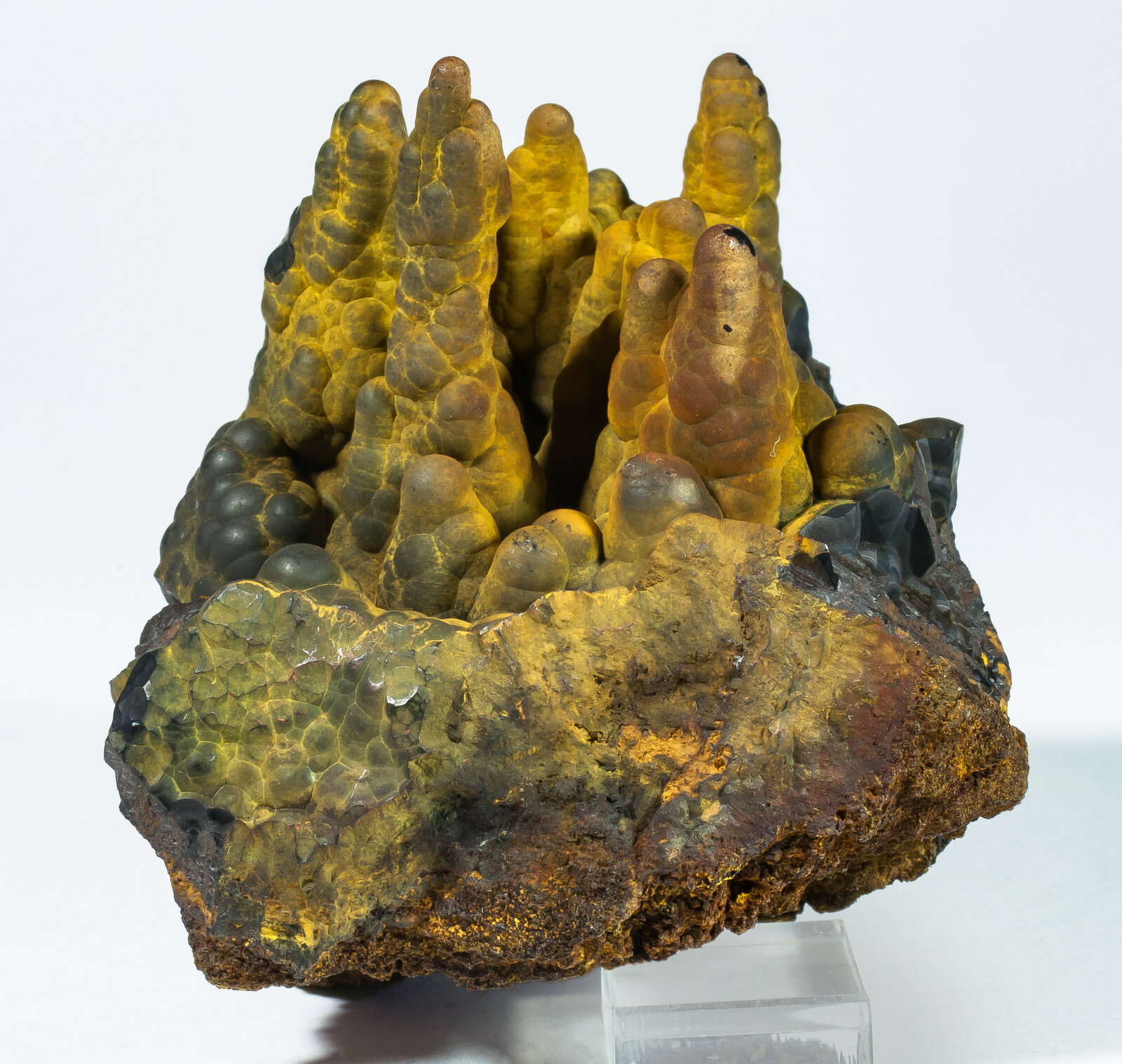 specimens/s_imagesAP8/Goethite-JJF6AP8f.jpg