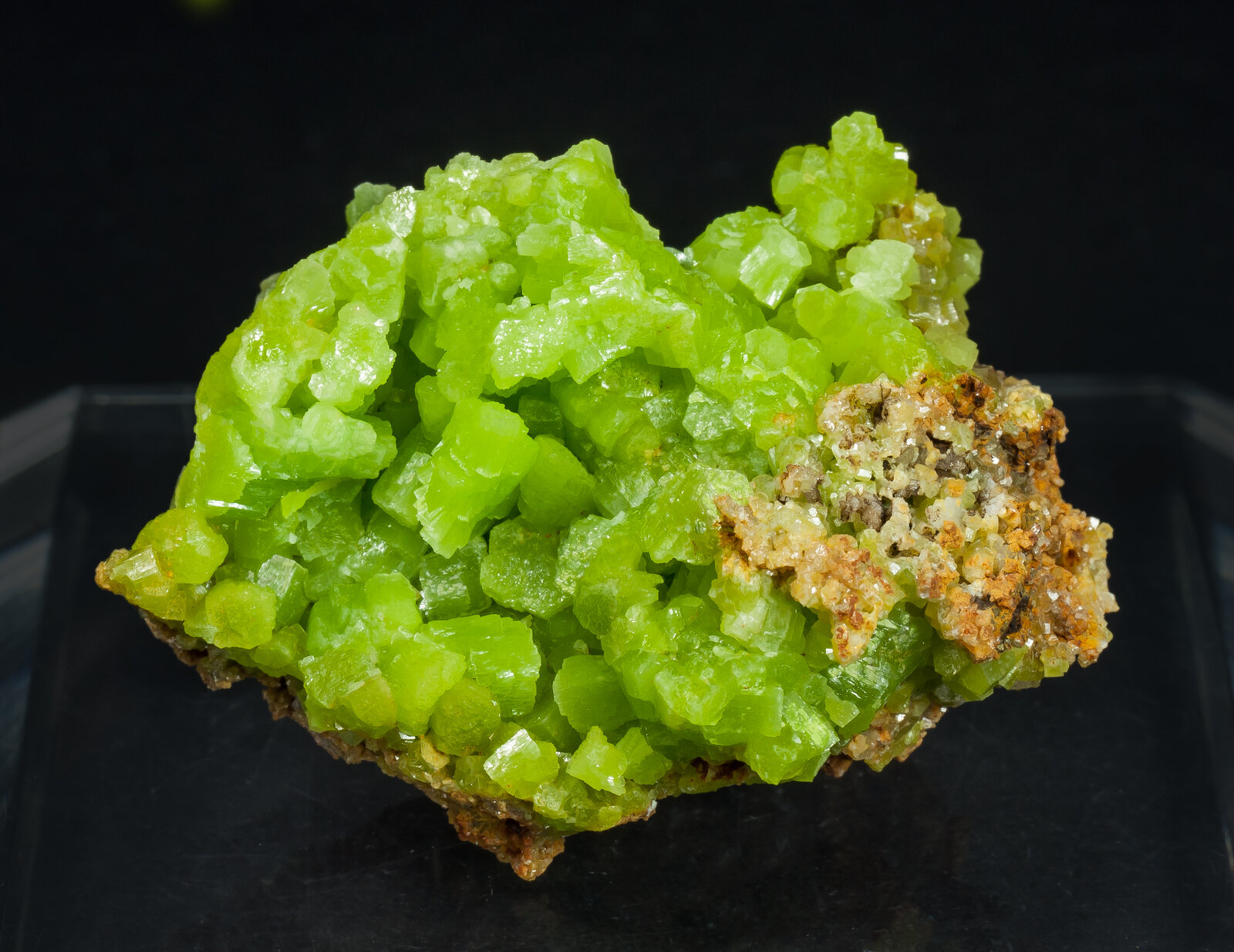 specimens/s_imagesAP8/Pyromorphite-JLA27AP8f.jpg