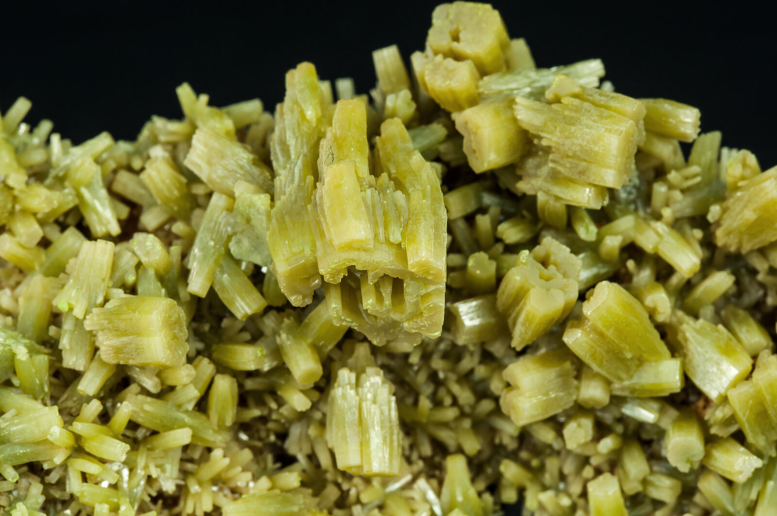 specimens/s_imagesAP8/Pyromorphite-JRB48AP8d2.jpg