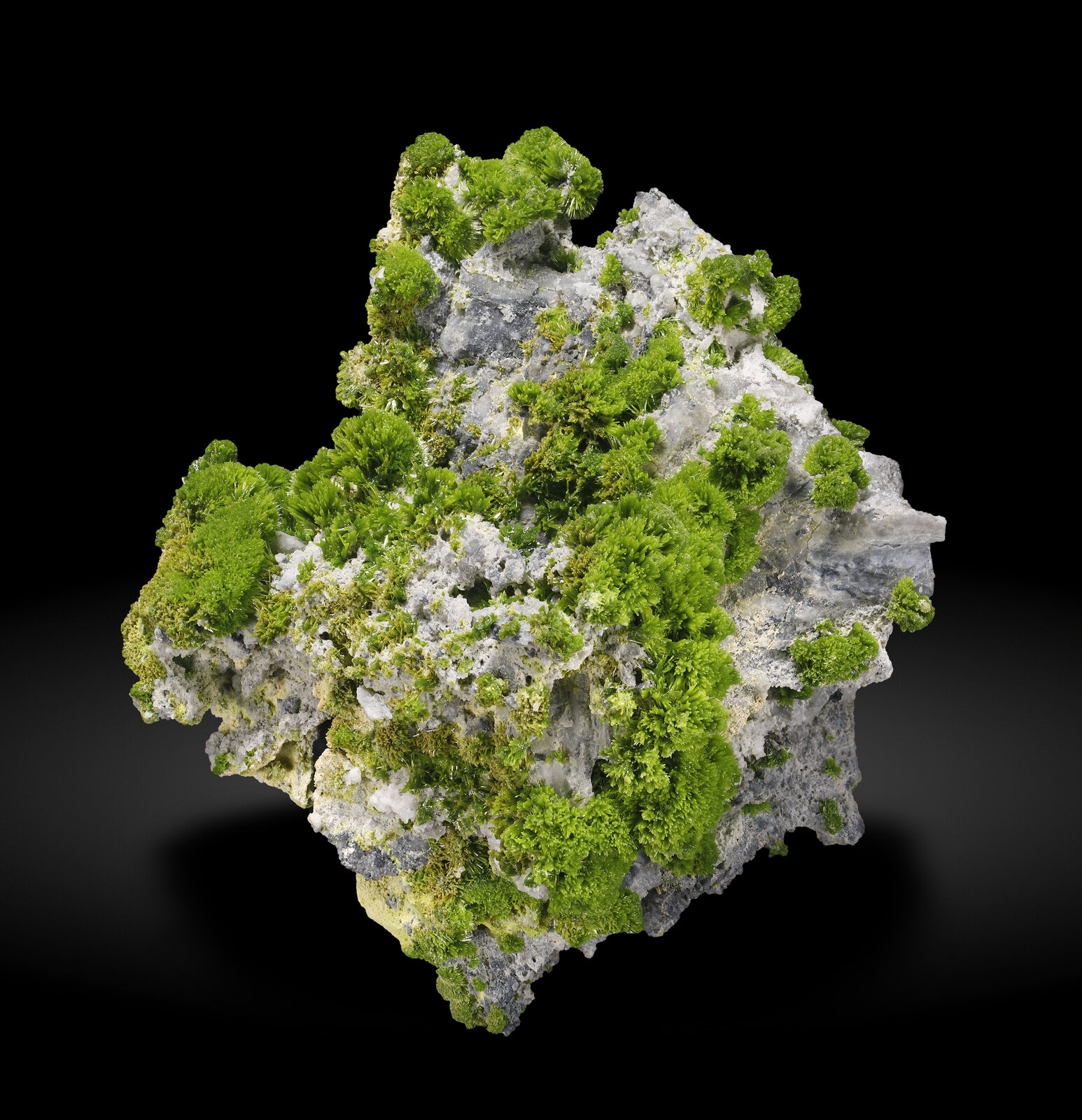 specimens/s_imagesAP8/Pyromorphite-TBC27AP8_2868_f.jpg