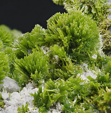 Pyromorphite. Detail / Photo: Joaquim Calln