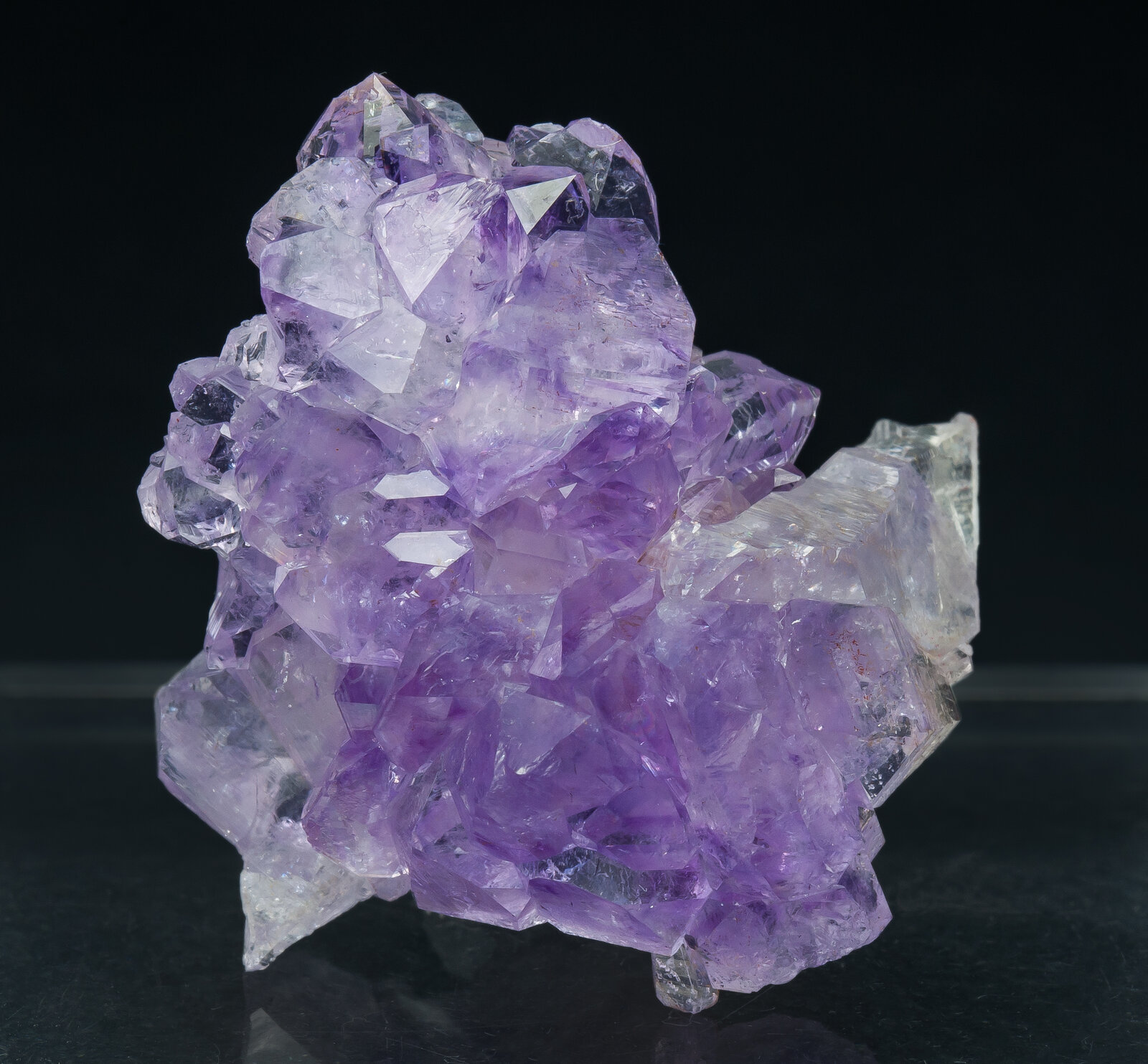 specimens/s_imagesAP8/Quartz_amethyst-JRB63AP8f.jpg