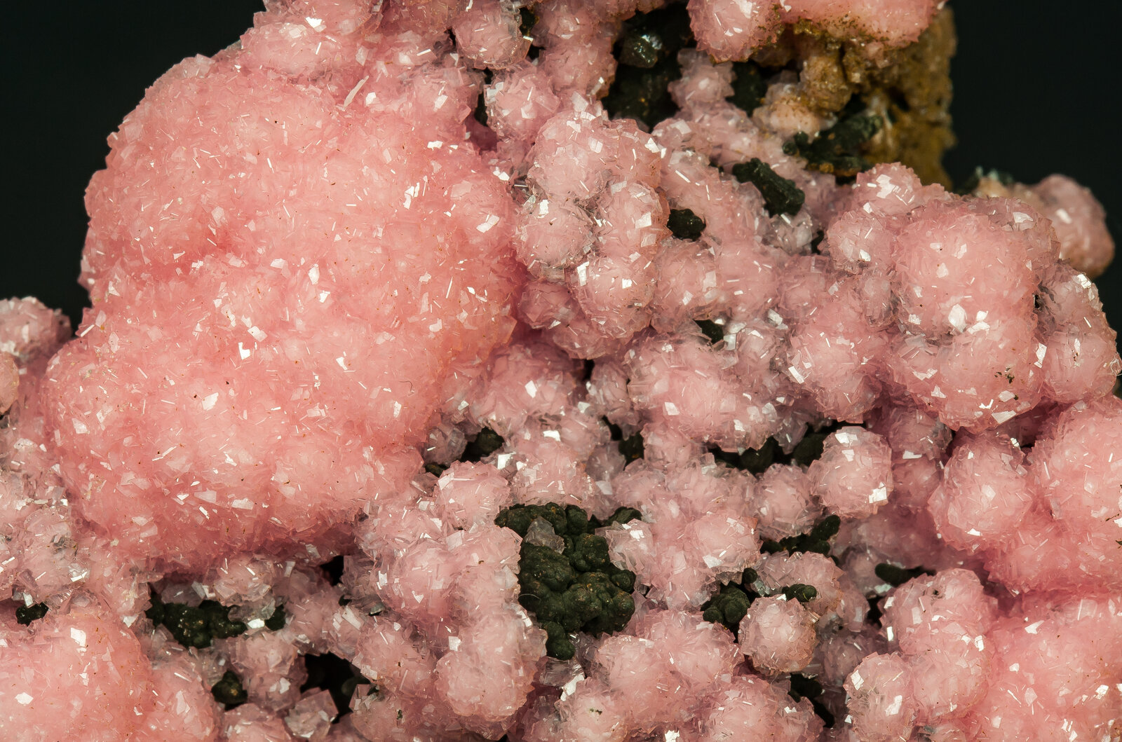 specimens/s_imagesAP8/Rhodochrosite-TJR67AP8d.jpg