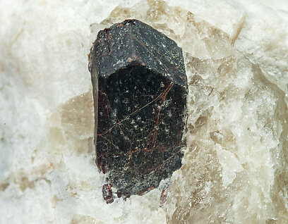 Rutile (variety niobian rutile). 