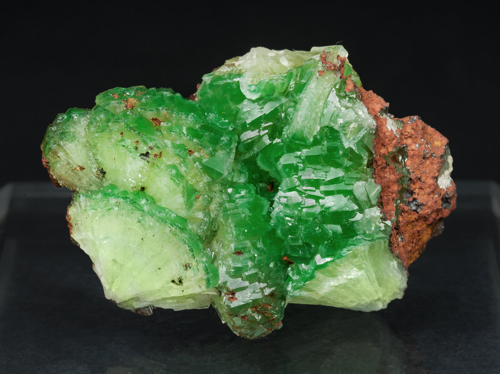 specimens/s_imagesAP9/Adamite_cuprian-TJA66AP9f.jpg