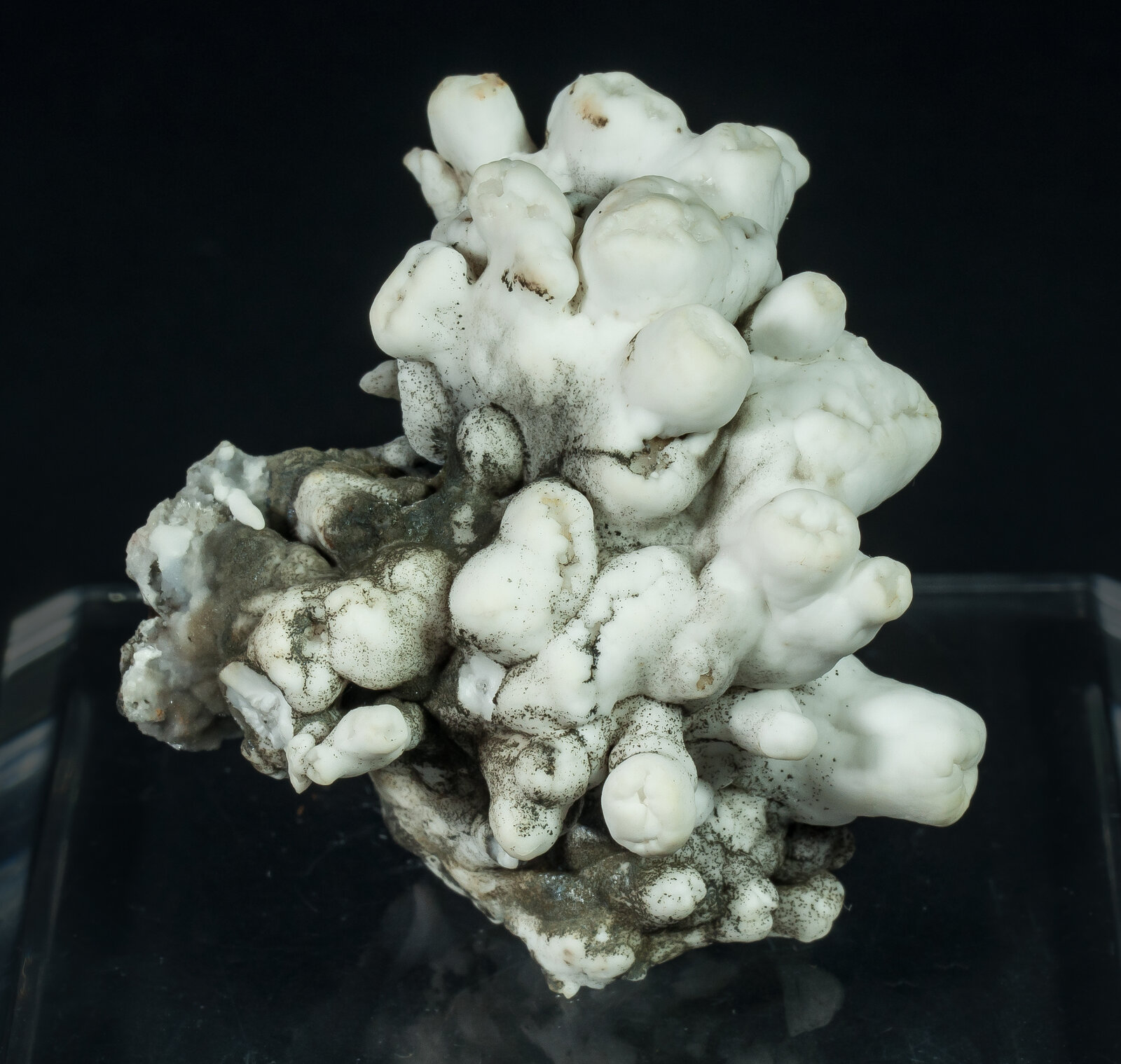 specimens/s_imagesAP9/Aragonite-TEL27AP9f.jpg