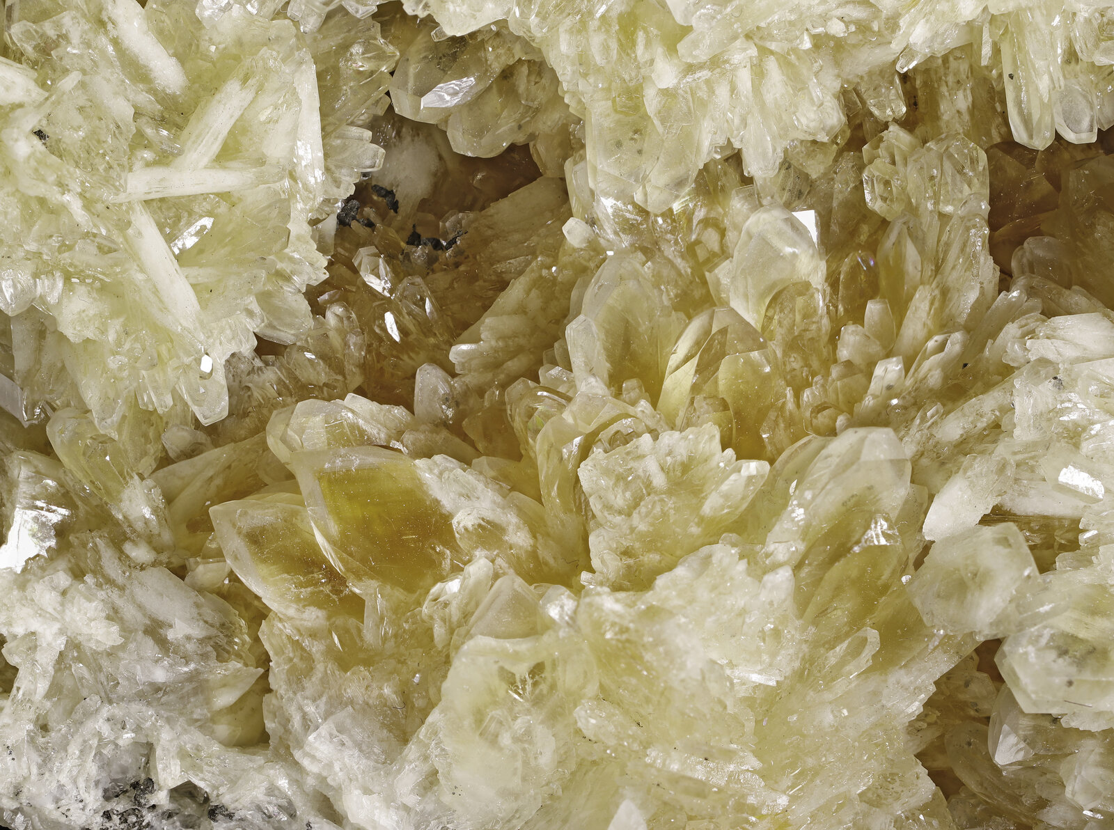 specimens/s_imagesAP9/Baryte-NAX89AP9_3861_d.jpg