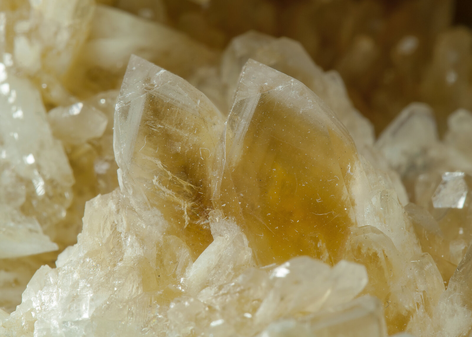 specimens/s_imagesAP9/Baryte-NAX89AP9d1.jpg