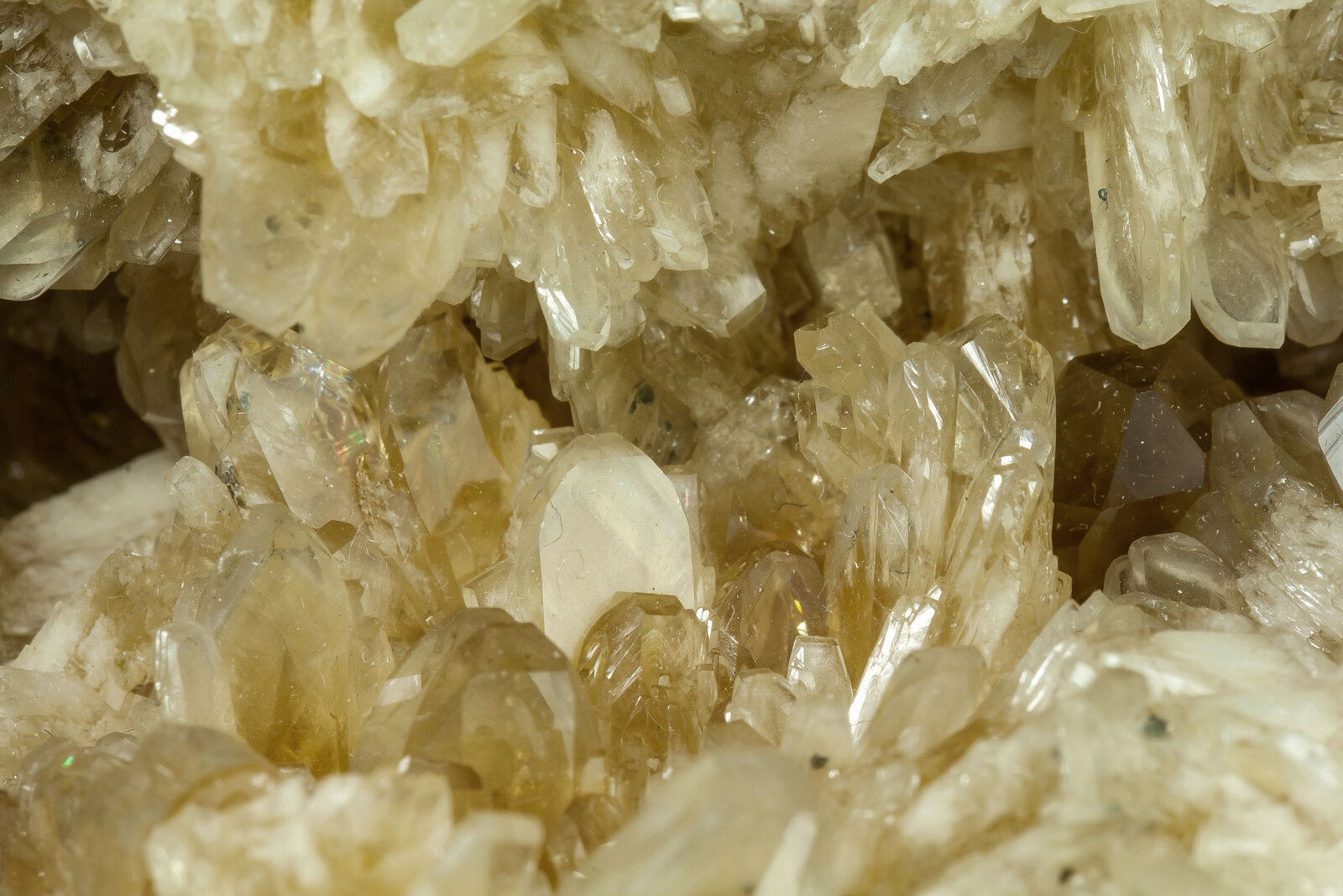 specimens/s_imagesAP9/Baryte-NAX89AP9d2.jpg