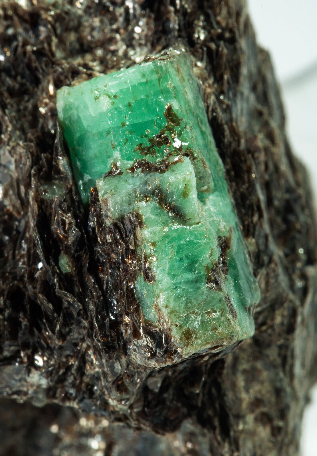 specimens/s_imagesAP9/Beryl_emerald-JFD227AP9d.jpg