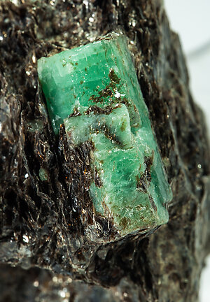 Beryl (variety emerald) with Phlogopite. 