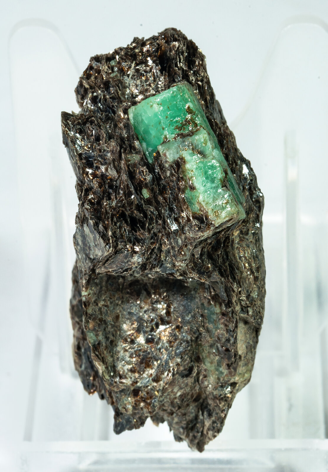 specimens/s_imagesAP9/Beryl_emerald-JFD227AP9f.jpg