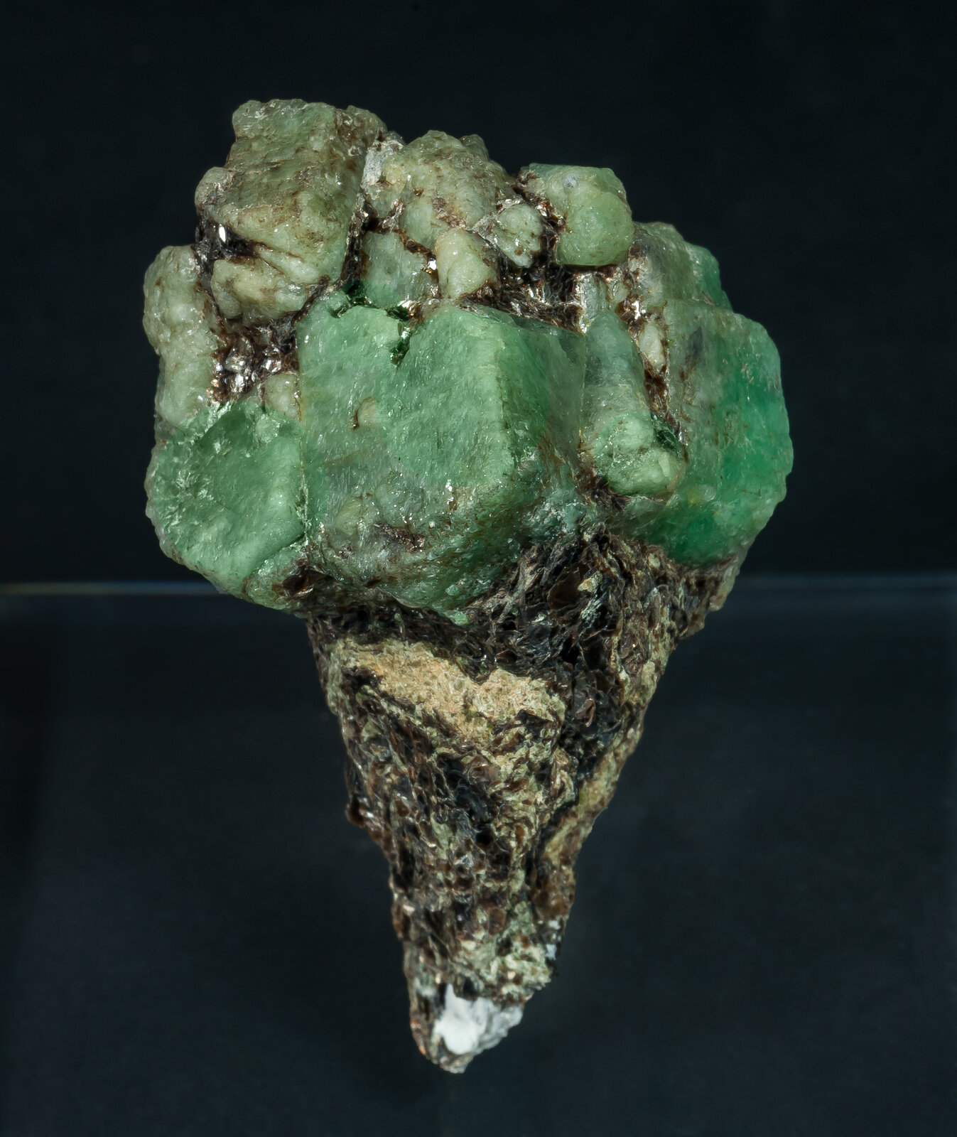 specimens/s_imagesAP9/Beryl_emerald-TTV66AP9f.jpg