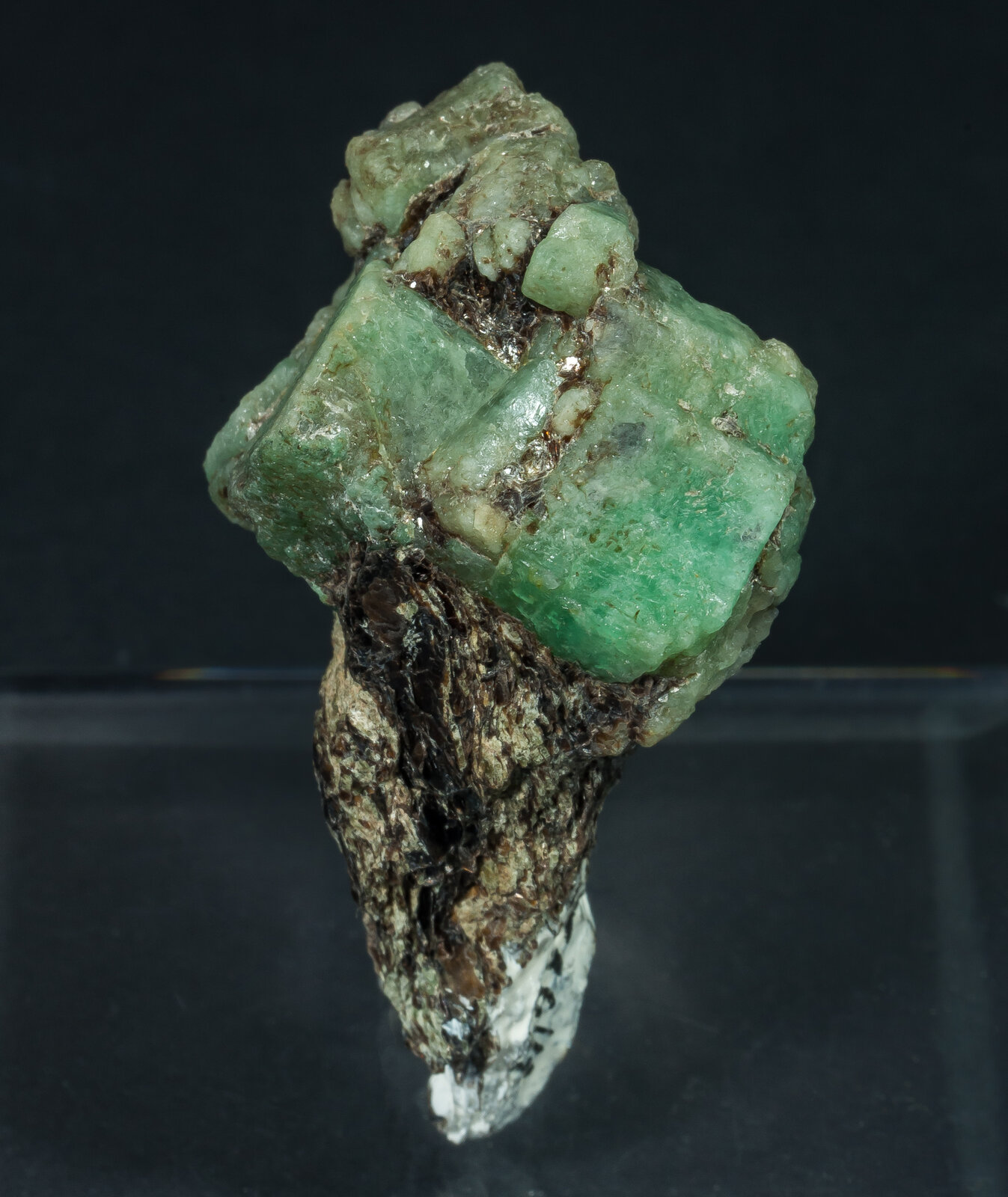 specimens/s_imagesAP9/Beryl_emerald-TTV66AP9s.jpg