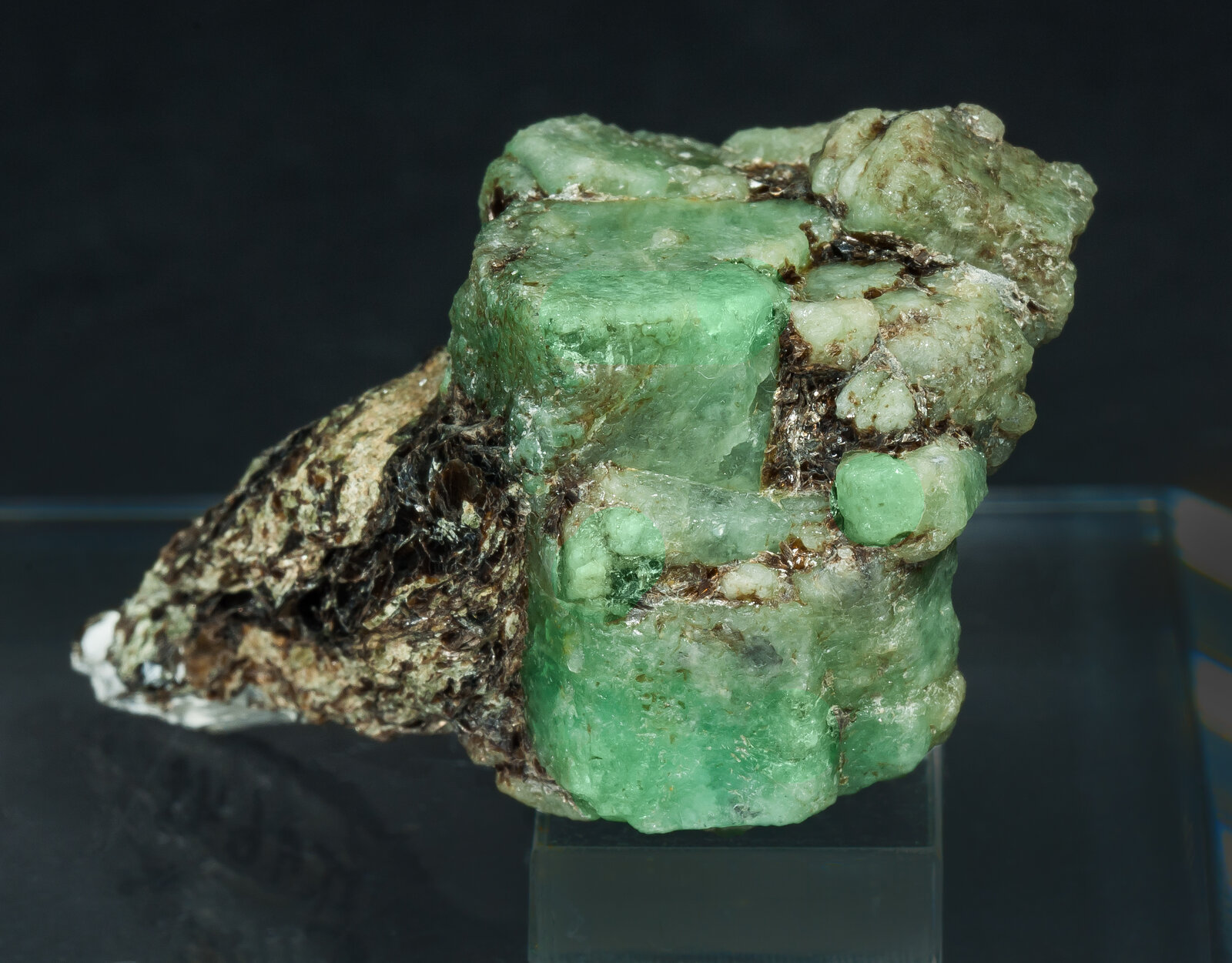 specimens/s_imagesAP9/Beryl_emerald-TTV66AP9s2.jpg