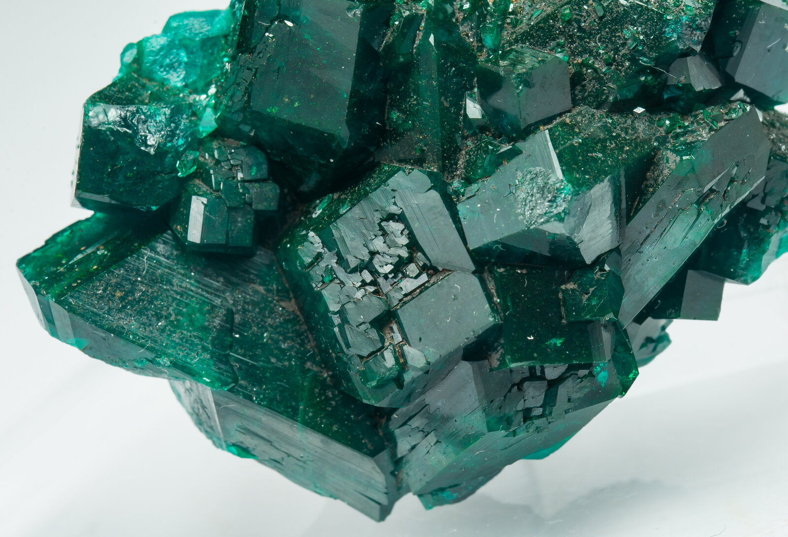 specimens/s_imagesAP9/Dioptase-TJB67AP9d.jpg