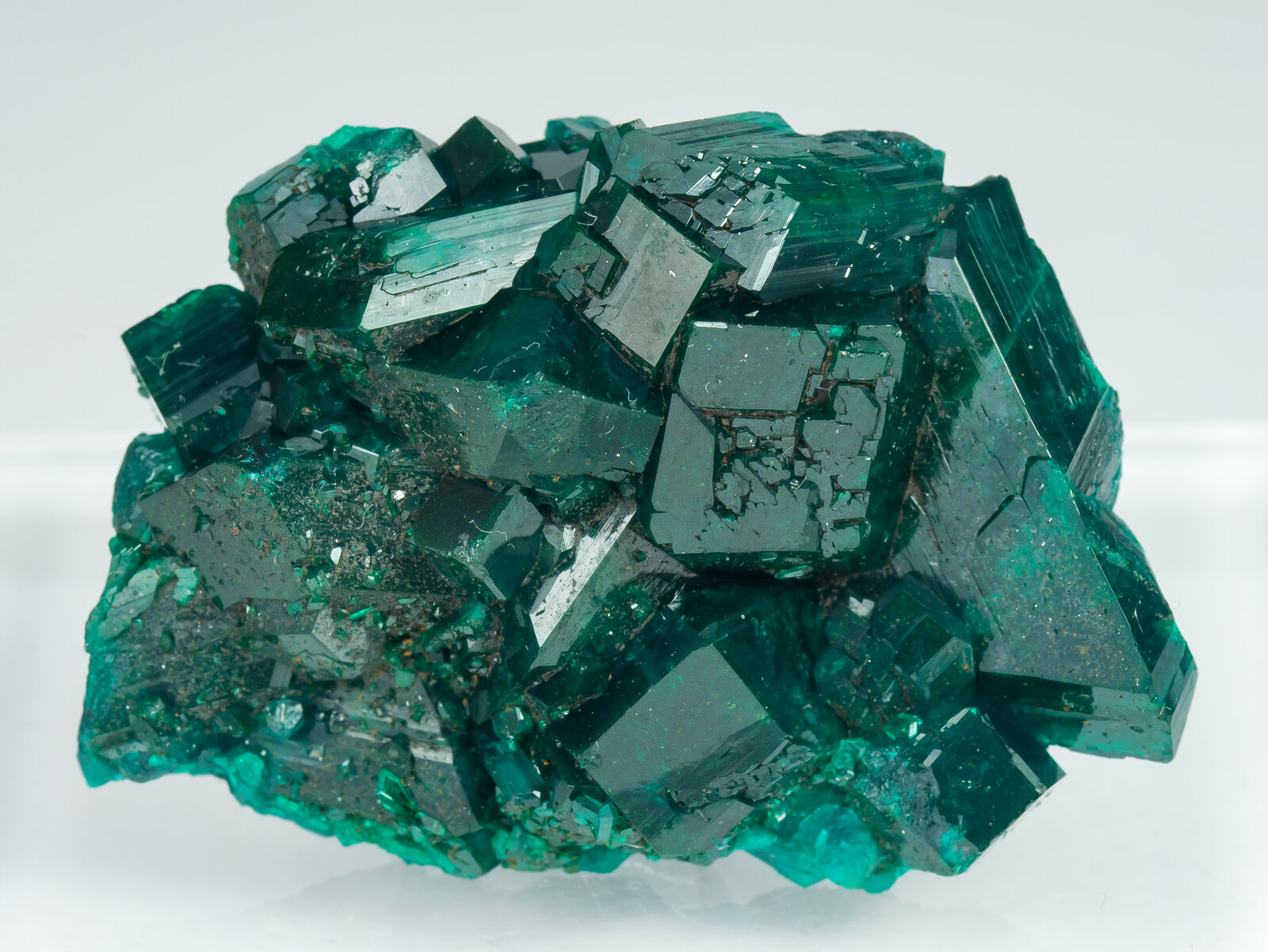 specimens/s_imagesAP9/Dioptase-TJB67AP9f.jpg