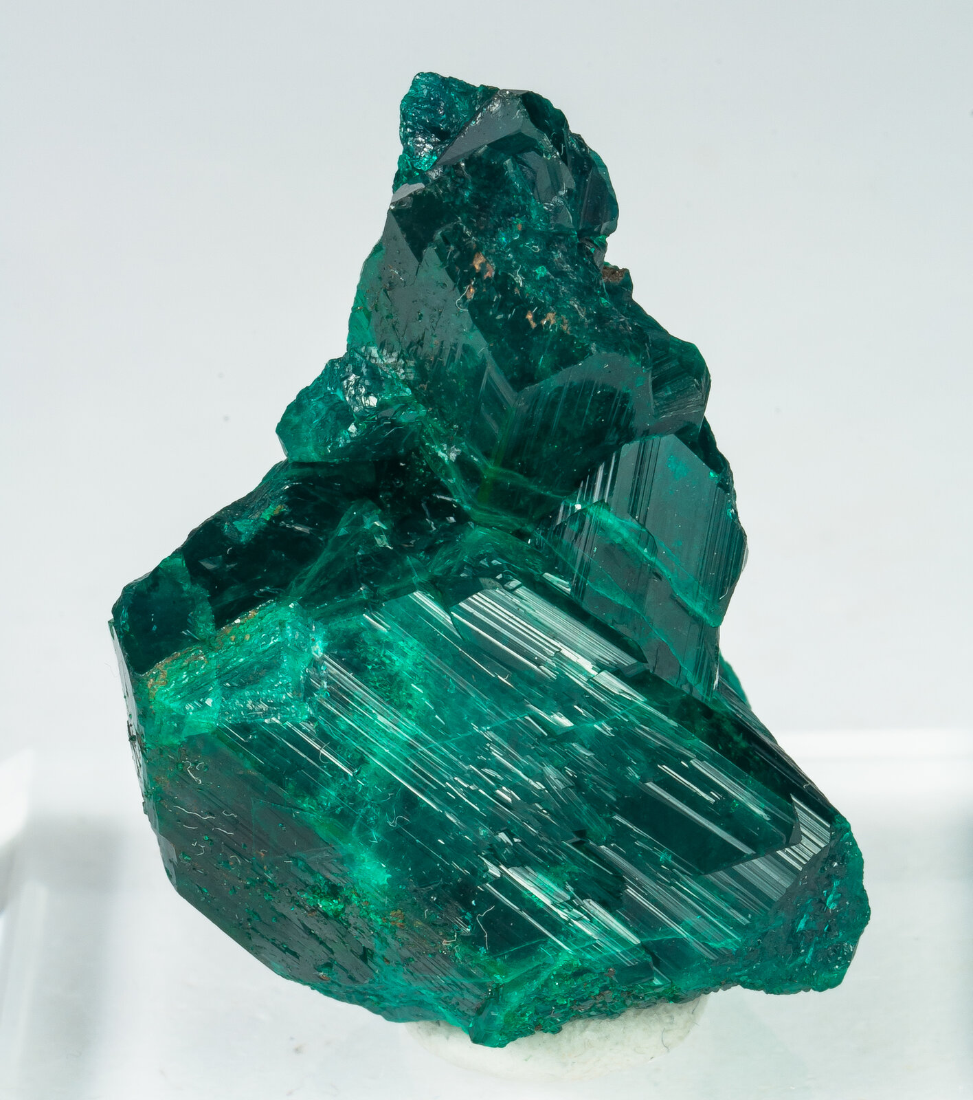 specimens/s_imagesAP9/Dioptase-TXX47AP9f.jpg