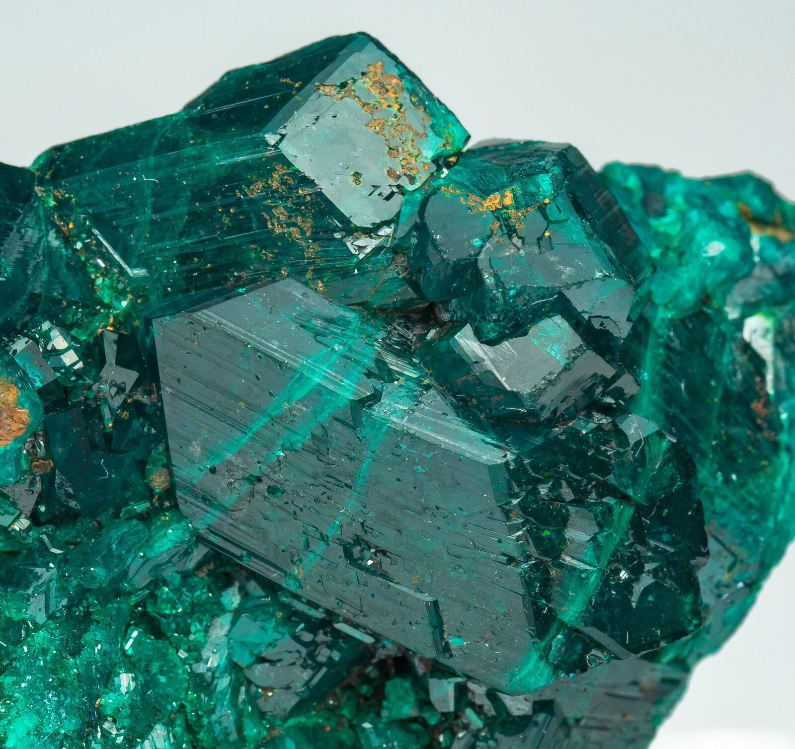 specimens/s_imagesAP9/Dioptase-TXX97AP9d.jpg